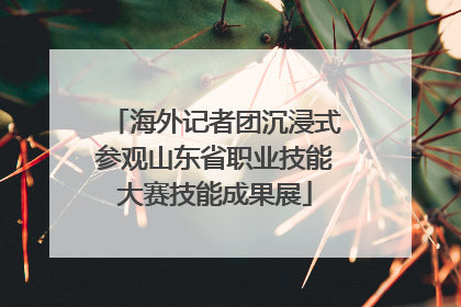 海外记者团沉浸式参观山东省职业技能大赛技能成果展