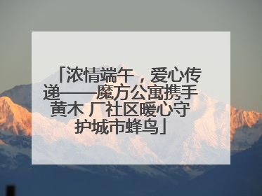 浓情端午，爱心传递——魔方公寓携手黄木 厂社区暖心守护城市蜂鸟