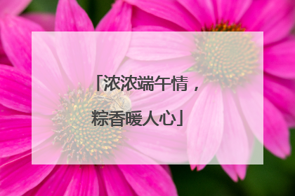 浓浓端午情，粽香暖人心