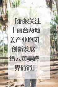 浙报关注丨丽台两地姜产业抱团创新发展 缙云黄姜跨界俏销