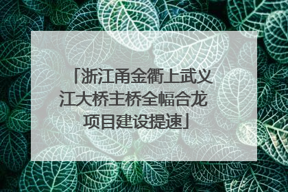 浙江甬金衢上武义江大桥主桥全幅合龙 项目建设提速