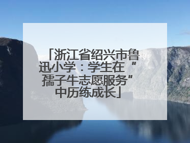 浙江省绍兴市鲁迅小学：学生在“孺子牛志愿服务”中历练成长