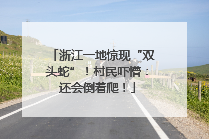 浙江一地惊现“双头蛇”！村民吓懵：还会倒着爬！