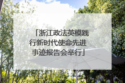 浙江政法英模践行新时代使命先进事迹报告会举行