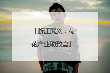 浙江武义：荷花产业助致富