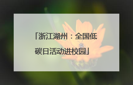 浙江湖州：全国低碳日活动进校园