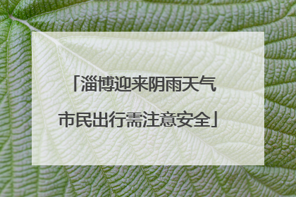 淄博迎来阴雨天气 市民出行需注意安全