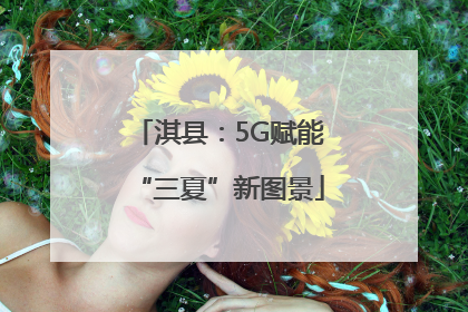淇县：5G赋能“三夏”新图景