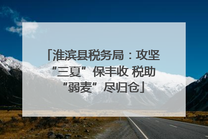 淮滨县税务局：攻坚“三夏”保丰收 税助“弱麦”尽归仓