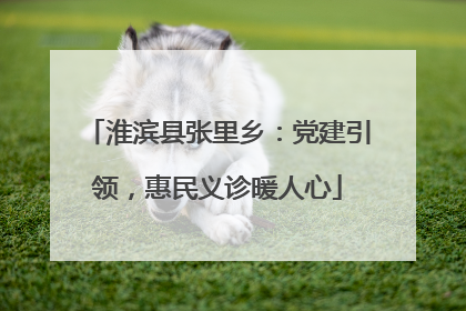 淮滨县张里乡：党建引领，惠民义诊暖人心