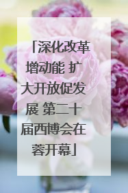 深化改革增动能 扩大开放促发展 第二十届西博会在蓉开幕