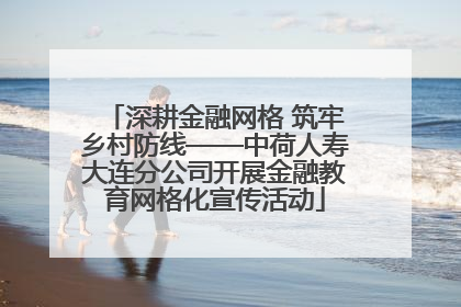 深耕金融网格 筑牢乡村防线——中荷人寿大连分公司开展金融教育网格化宣传活动