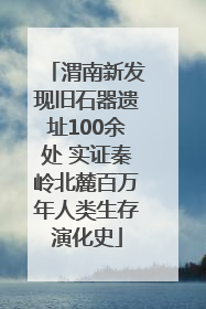 渭南新发现旧石器遗址100余处 实证秦岭北麓百万年人类生存演化史