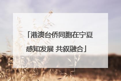 港澳台侨同胞在宁夏感知发展 共叙融合