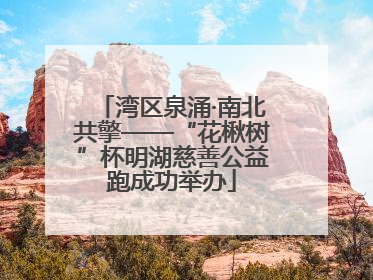 湾区泉涌·南北共擎——“花楸树”杯明湖慈善公益跑成功举办