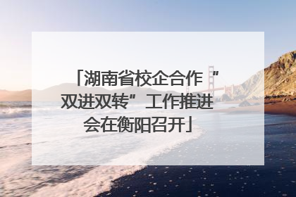 湖南省校企合作“双进双转”工作推进会在衡阳召开