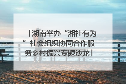 湖南举办“湘社有为”社会组织协同合作服务乡村振兴专题沙龙