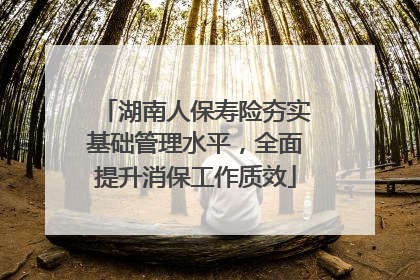 湖南人保寿险夯实基础管理水平，全面提升消保工作质效