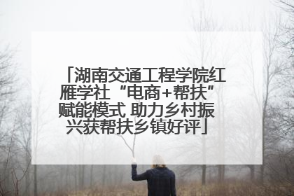 湖南交通工程学院红雁学社“电商+帮扶”赋能模式 助力乡村振兴获帮扶乡镇好评