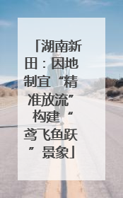 湖南新田：因地制宜“精准放流” 构建“鸢飞鱼跃”景象