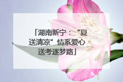 湖南新宁：“夏送清凉”情系爱心送考逐梦路