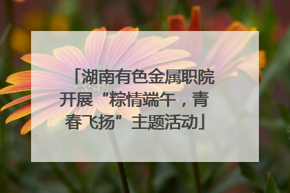 湖南有色金属职院开展“粽情端午，青春飞扬”主题活动