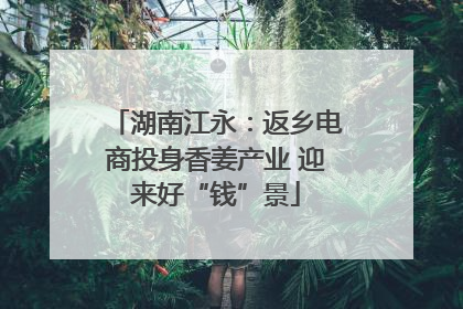湖南江永：返乡电商投身香姜产业 迎来好“钱”景