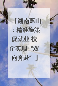 湖南蓝山：精准施策促就业 校企实现“双向奔赴”