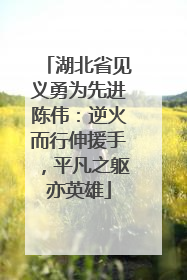 湖北省见义勇为先进陈伟：逆火而行伸援手，平凡之躯亦英雄