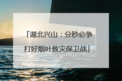 湖北兴山：分秒必争 打好烟叶救灾保卫战