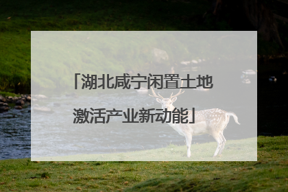湖北咸宁闲置土地激活产业新动能