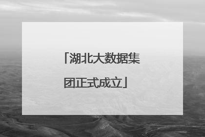 湖北大数据集团正式成立