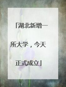 湖北新增一所大学，今天正式成立