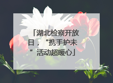 湖北检察开放日，“携手护未”活动超暖心