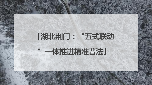 湖北荆门：“五式联动”一体推进精准普法