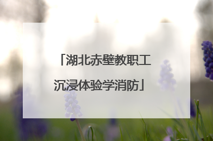湖北赤壁教职工沉浸体验学消防