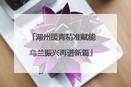 湖州援青精准赋能 乌兰振兴再谱新篇