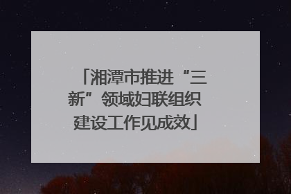湘潭市推进“三新”领域妇联组织建设工作见成效