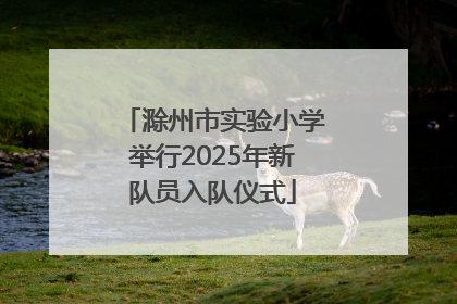 滁州市实验小学举行2025年新队员入队仪式