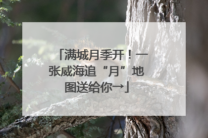 满城月季开！一张威海追“月”地图送给你→