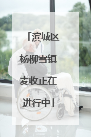 滨城区杨柳雪镇麦收正在进行中