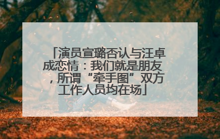 演员宣璐否认与汪卓成恋情：我们就是朋友，所谓“牵手图”双方工作人员均在场