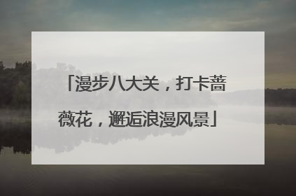 漫步八大关，打卡蔷薇花，邂逅浪漫风景