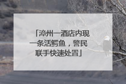 漳州一酒店内现一条活鳄鱼，警民联手快速处置