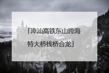漳汕高铁东山跨海特大桥栈桥合龙