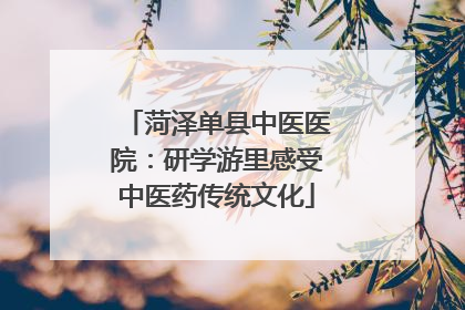 菏泽单县中医医院：研学游里感受中医药传统文化