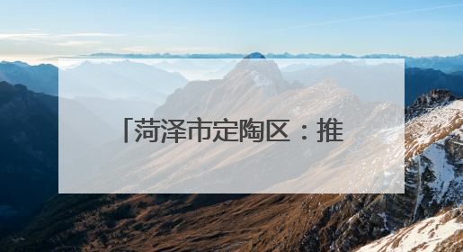 菏泽市定陶区：推行“一统领 三统筹” 跨村联建模式 带动片区共同富裕