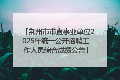 荆州市市直事业单位2025年统一公开招聘工作人员综合成绩公告