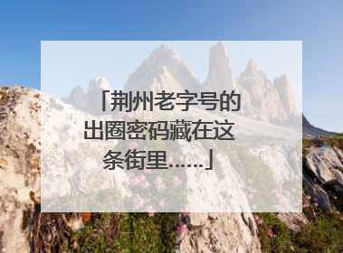 荆州老字号的出圈密码藏在这条街里……