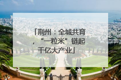 荆州：全城共育，“一粒米”链起千亿大产业